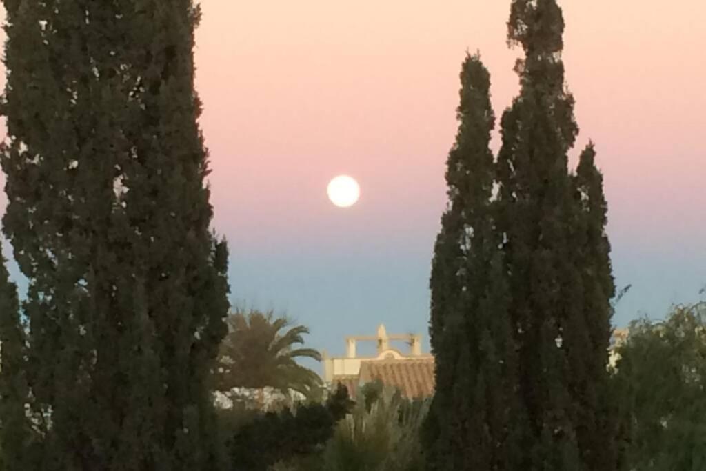 Privates Ferienhaus Villa De Paz - Costa Blanca Orihuela Dış mekan fotoğraf